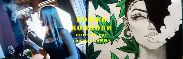 mix Белокуриха
