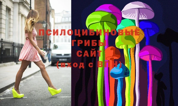 бошки Бородино