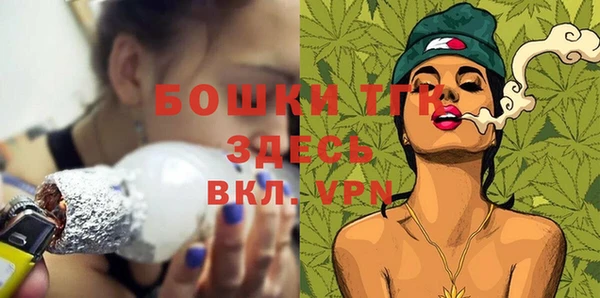 бошки Бородино