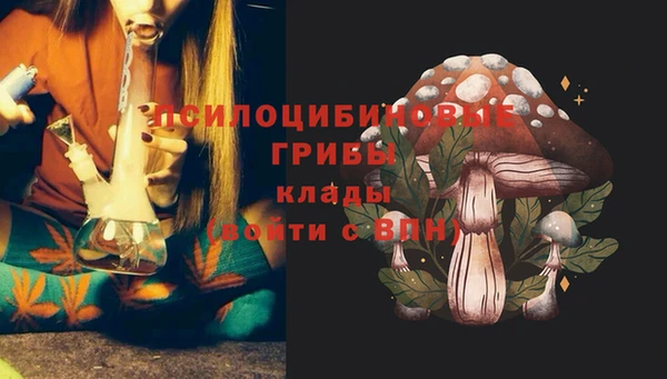 гашиш Бронницы